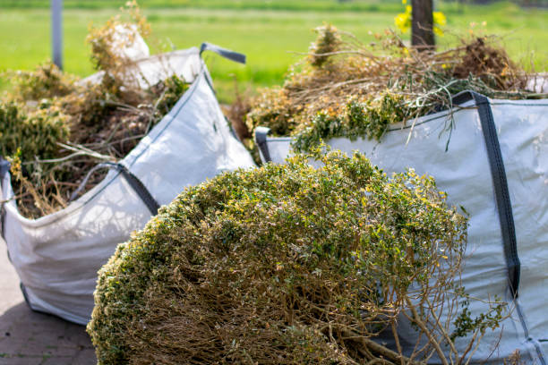 Best Commercial Cleanout Services  in Weyers Cave, VA